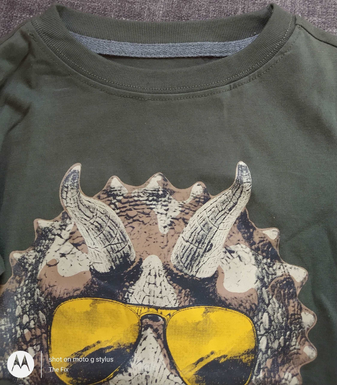 Grey Dinosaur Shirt - The Fix Clothing